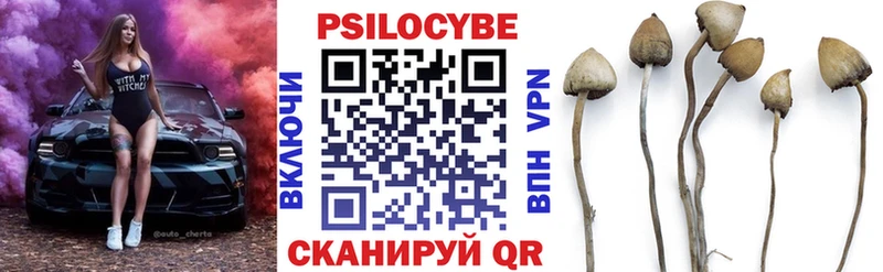 Купить где Алушта Псилоцибиновые грибы мицелий